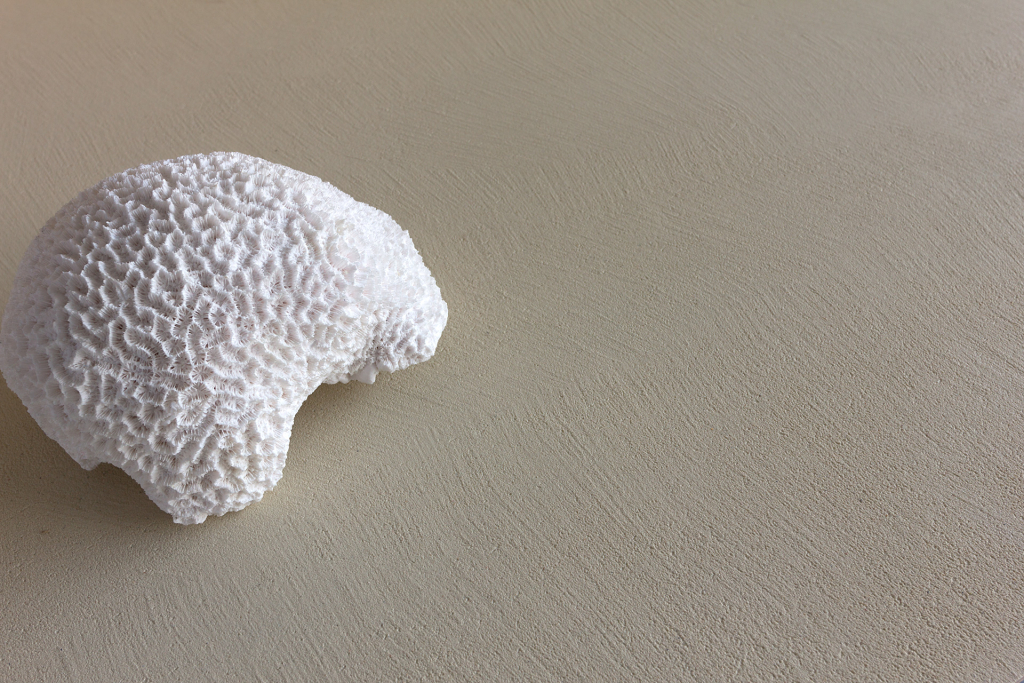 ERREFAST FINE / Dettaglio