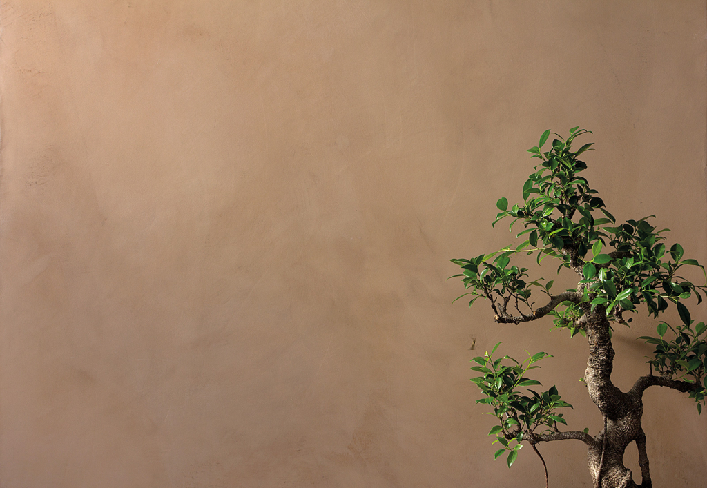 CEMENTO MADRE / Parete