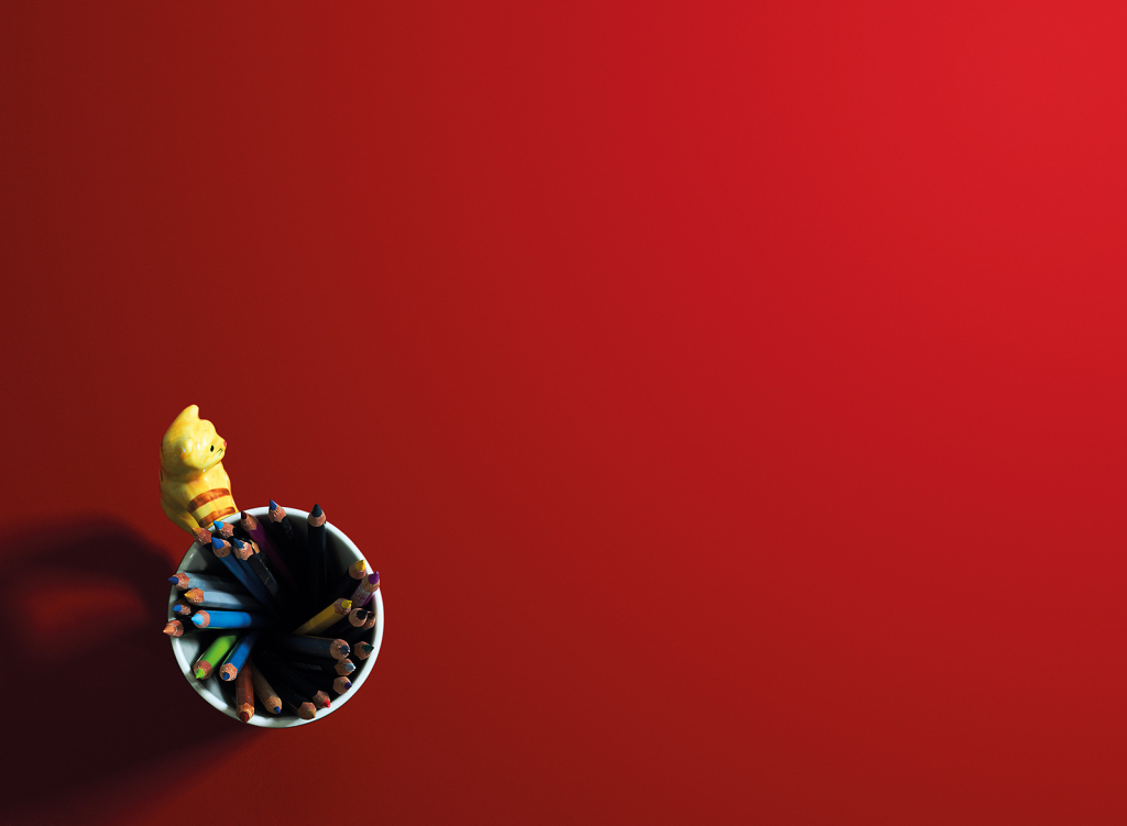 MONOCROMO / Pavimento