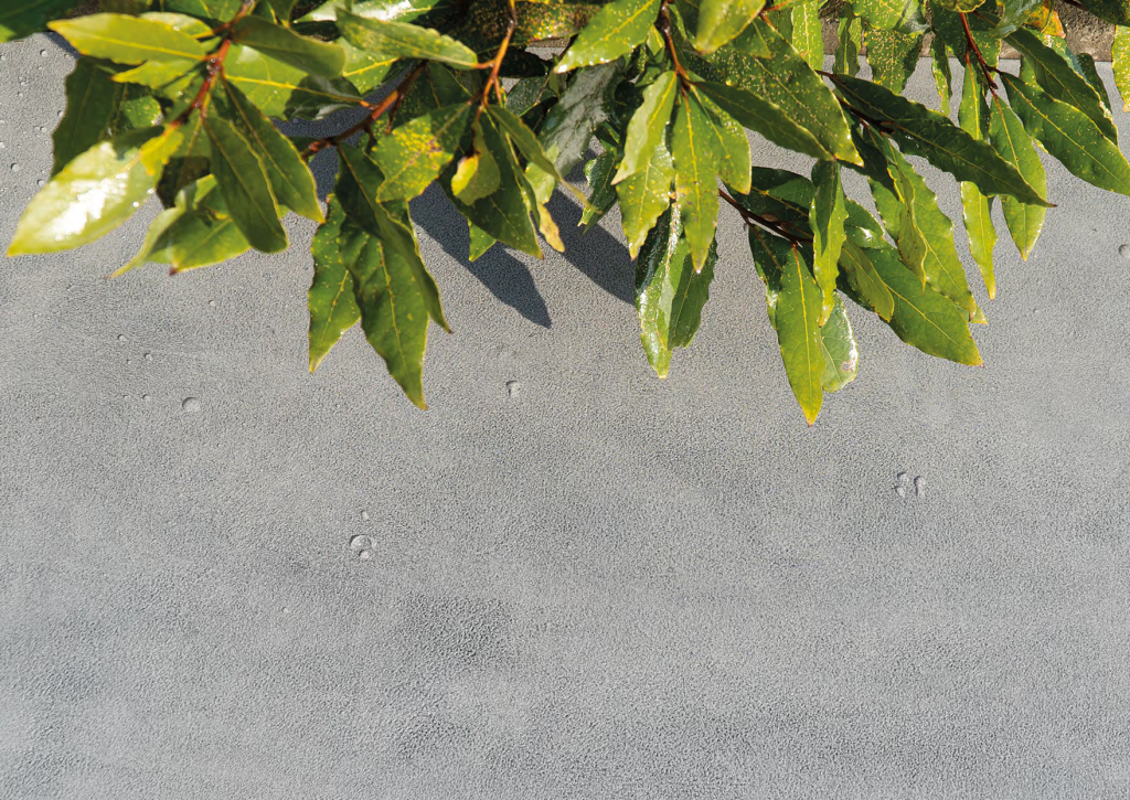 PIATRA CONTINUA EXTERIOR / Bazalt