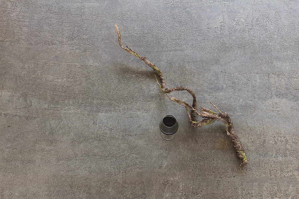 PIETRA CONTINUA / CALCARE