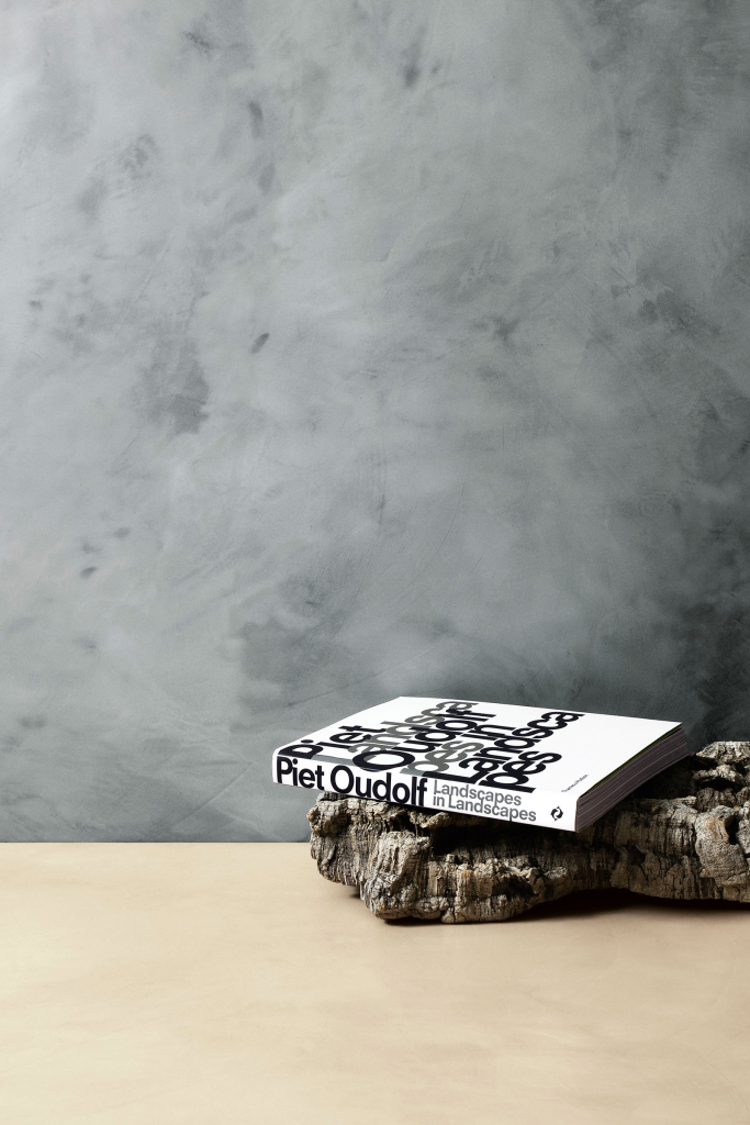 CEMENTO MADRE / Parete